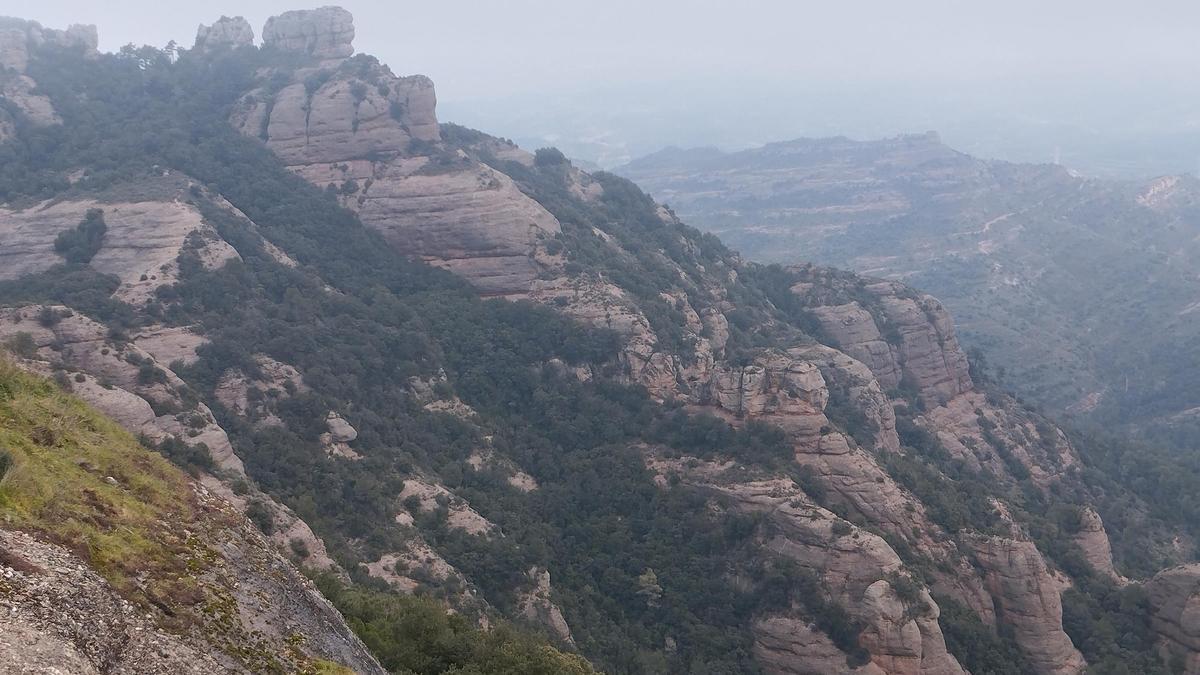 Un dels espais del paisatge característic del parc natural de Sant Llorenç del Munt