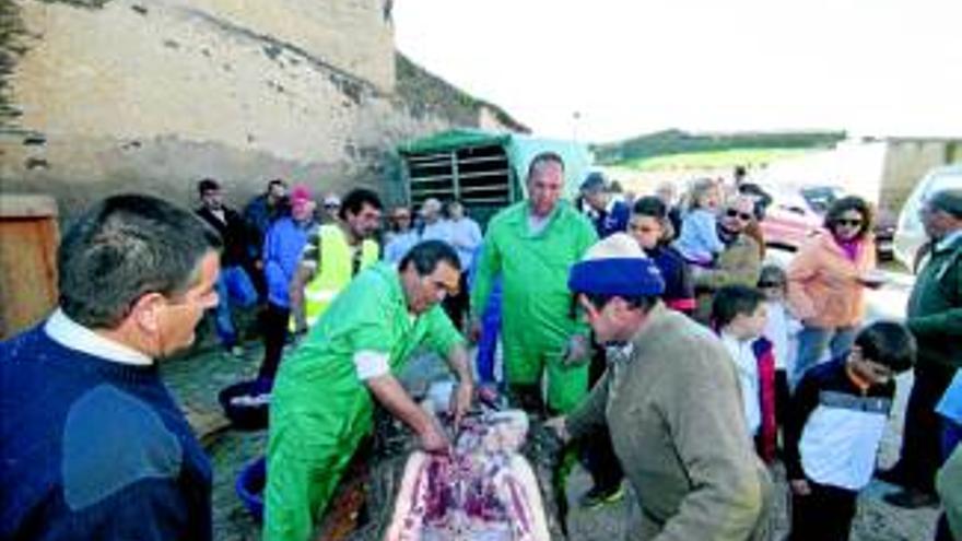 El Mejor Rincón de España celebra su vigésima matanza tradicional