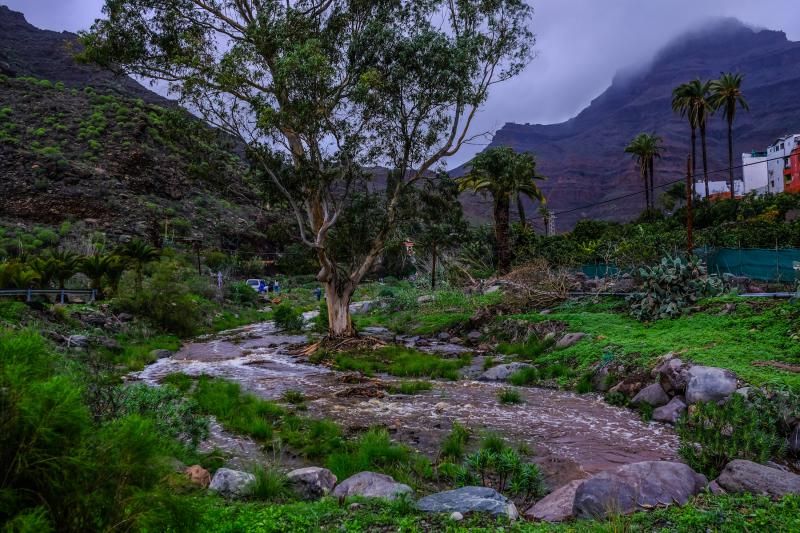 'Filomena' continúa dejando lluvias y llenando presas este jueves en Gran Canaria