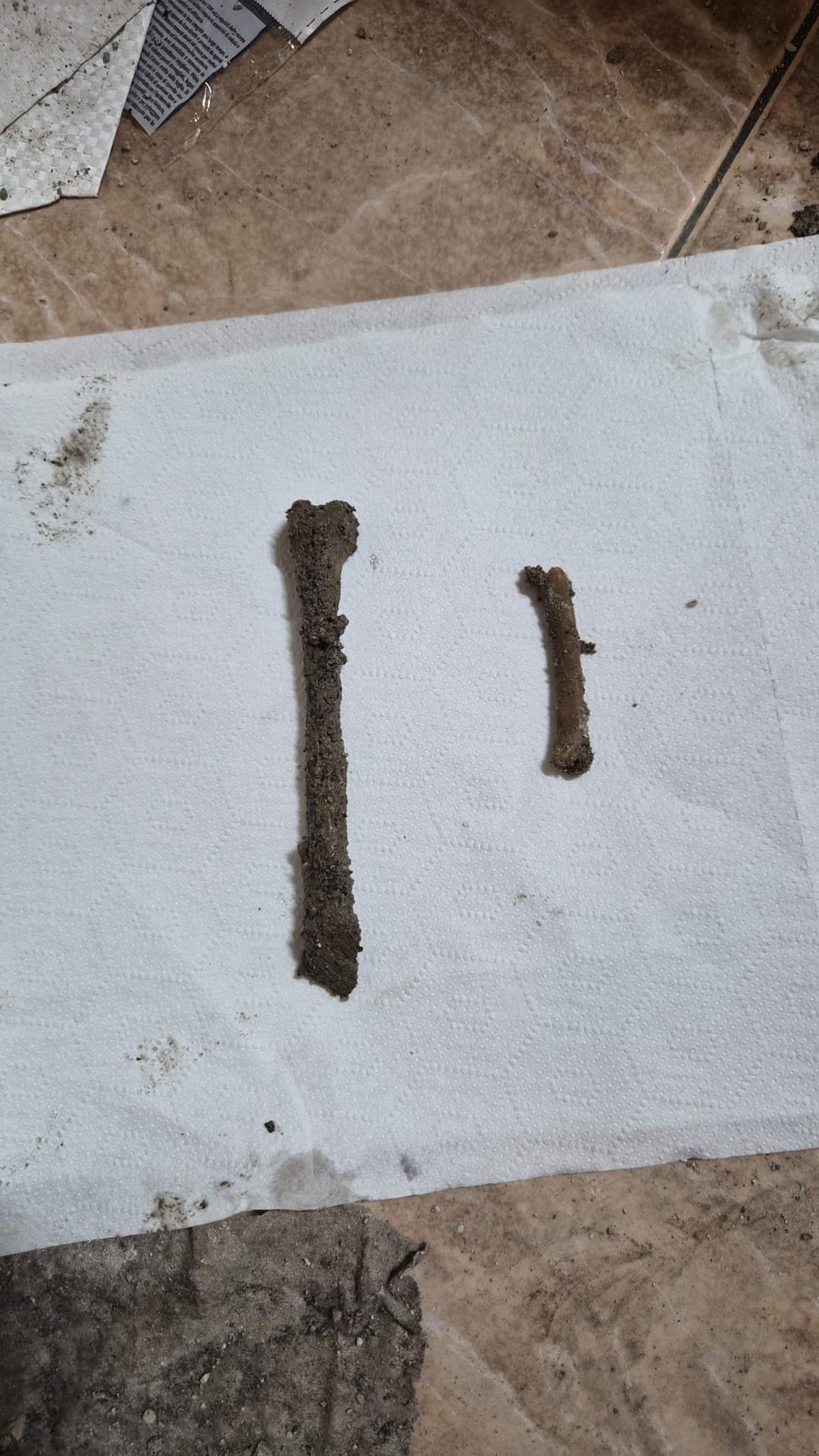 Los restos óseos salen cubiertos de barro