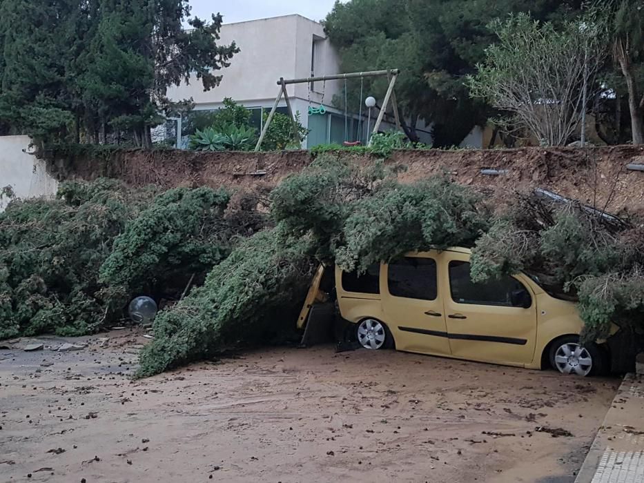 Un vehículo aplastado por unos árboles caídos en Sant Joan, sin daños personales