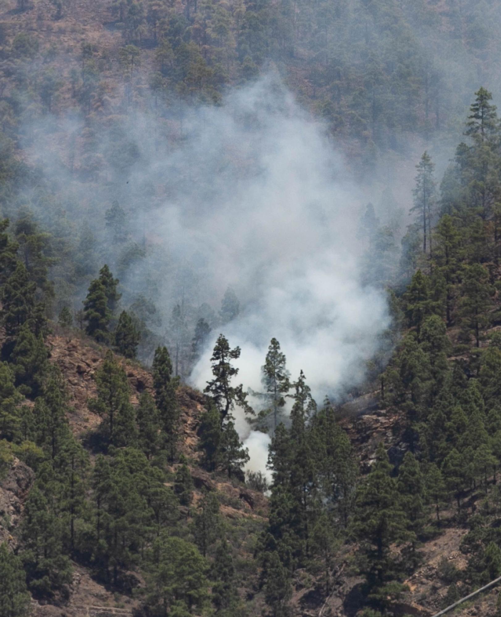 Incendio en Arico