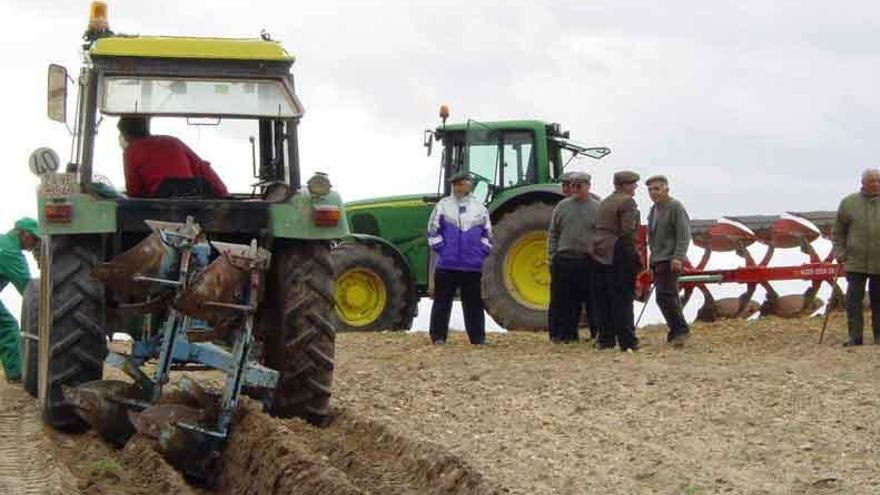 Tractores en un concurso de arada organizado en la provincia.