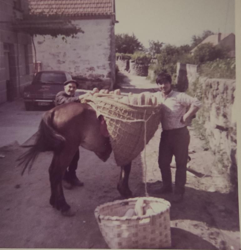 Reparto de pan a caballo en los años 60.   | FDV