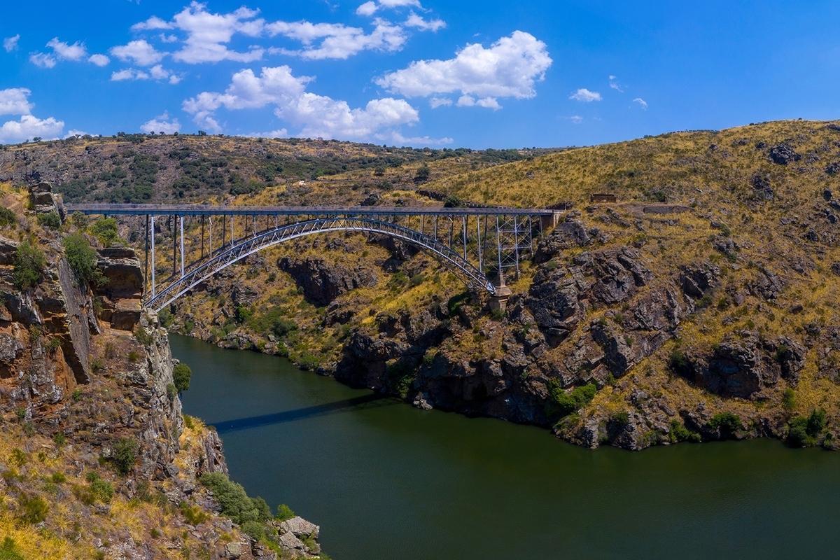 Zamora, de la naturaleza al arte
