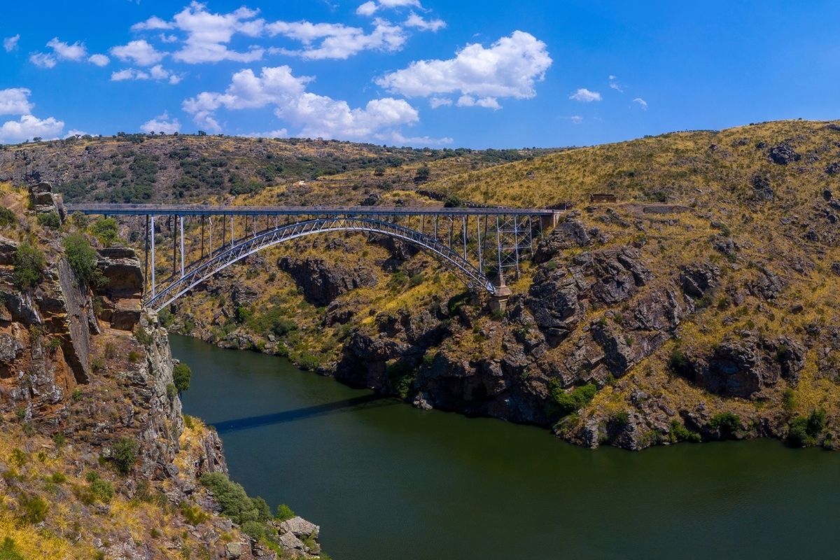 Zamora, de la naturaleza al arte