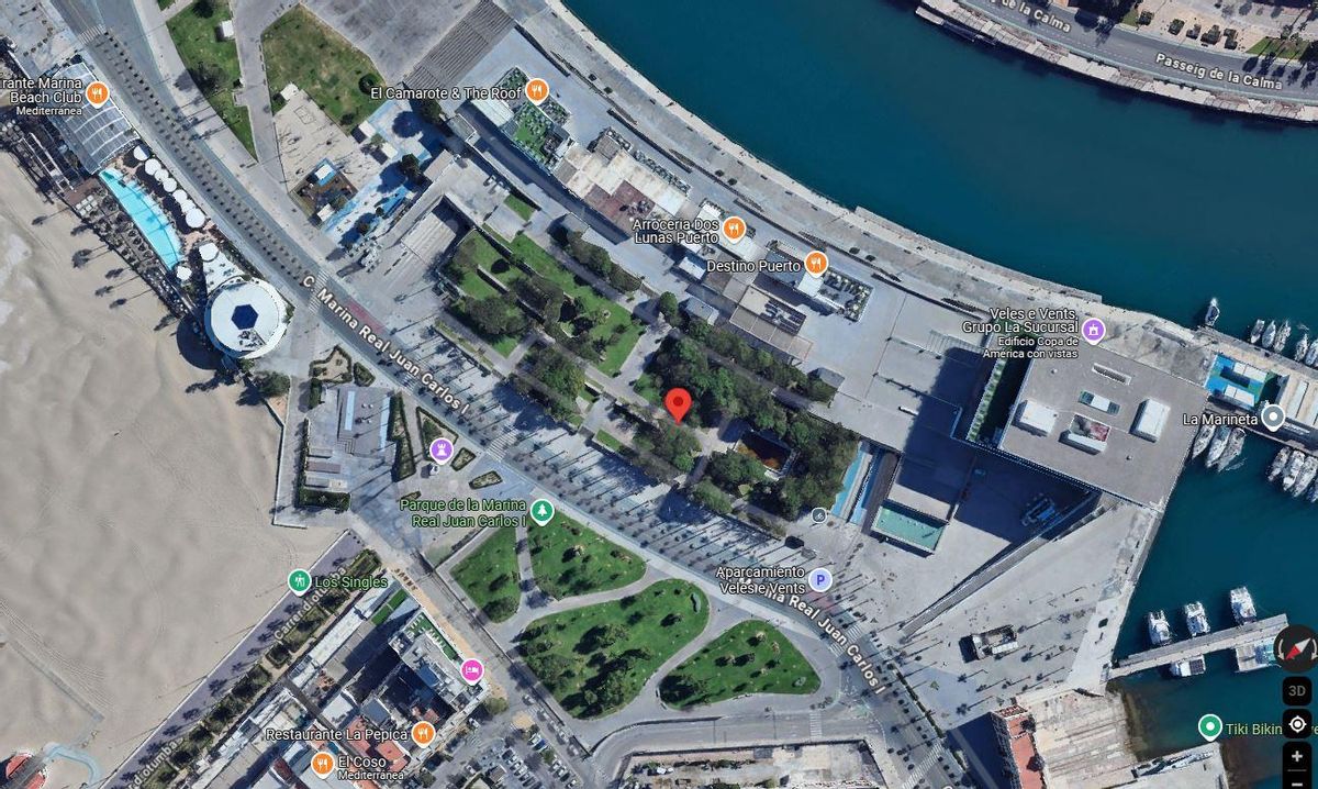 Punto exacto de zona ajardinada de la Marina de València donde el rayo ha alcanzado a la mujer.