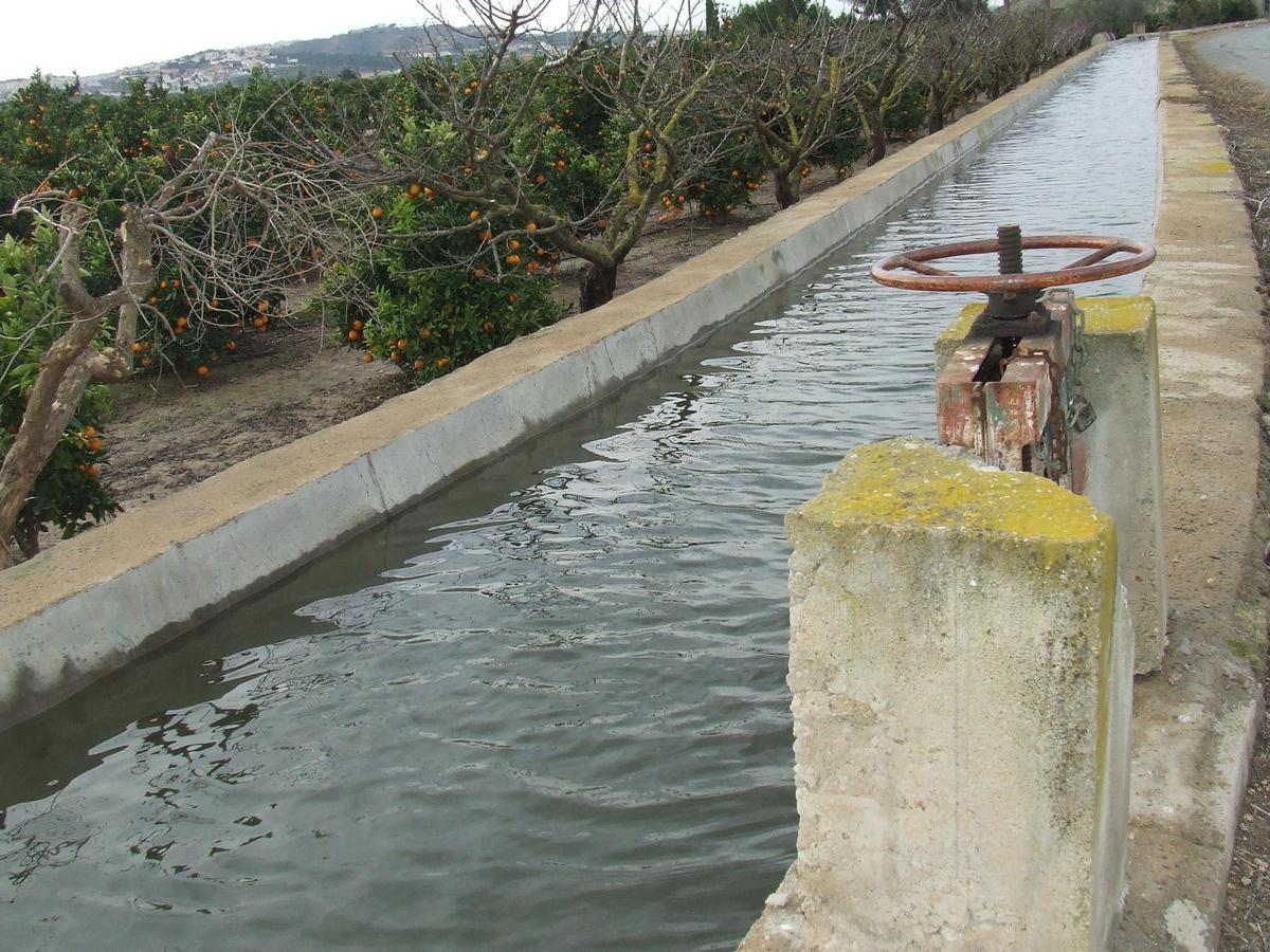 Acequia de la huerta de Rojales, en una imagen de archivo