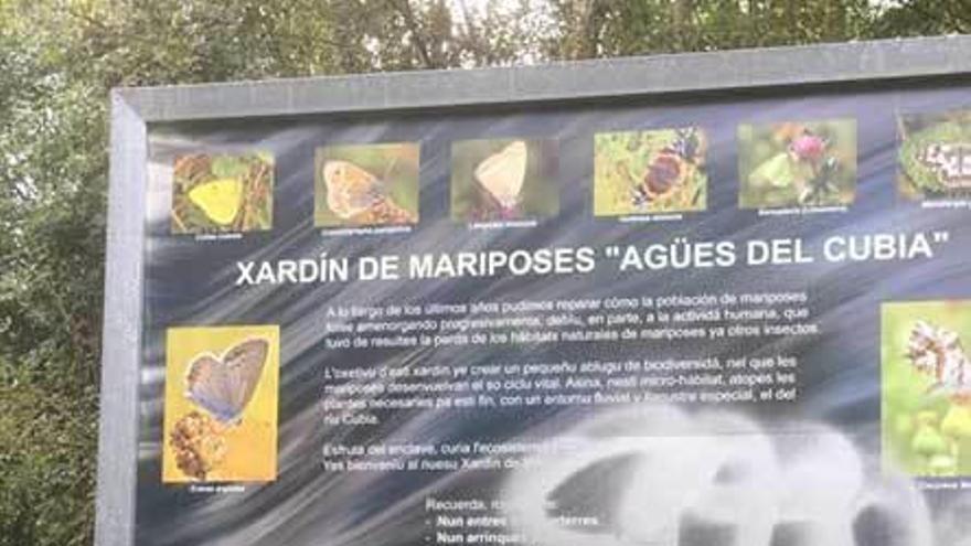 Pintadas en el Jardín de las Mariposas