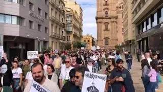Miles de personas claman en Sevilla y Málaga contra la especulación urbanística