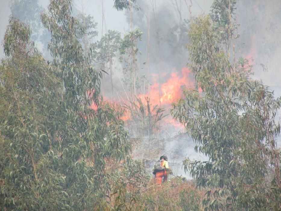 Incendio en la zona de Llanes