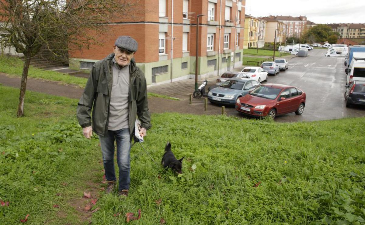 Por arriba, Javier Solís, con su perro «Nodo»; debajo, Rocío Jiménez. | JUAN PLAZA