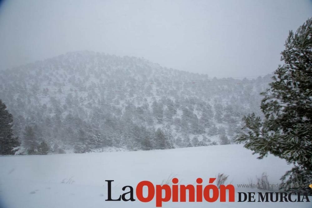 La nieve cubre de blanco el Campo de San Juan