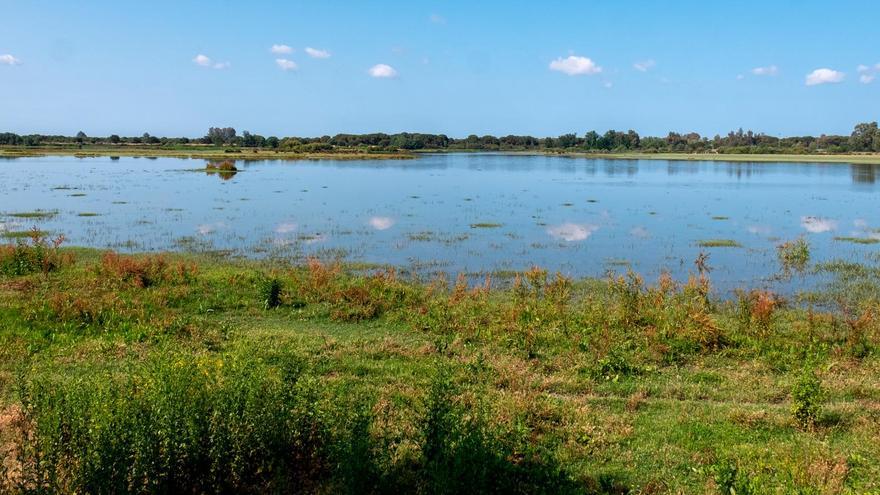 La Unesco pide a España un informe sobre Doñana y las medidas para revertir su deterioro