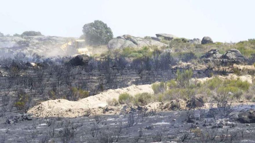 Un bulldozer trabaja en la zona del incendio donde se observa el terreno calcinado.