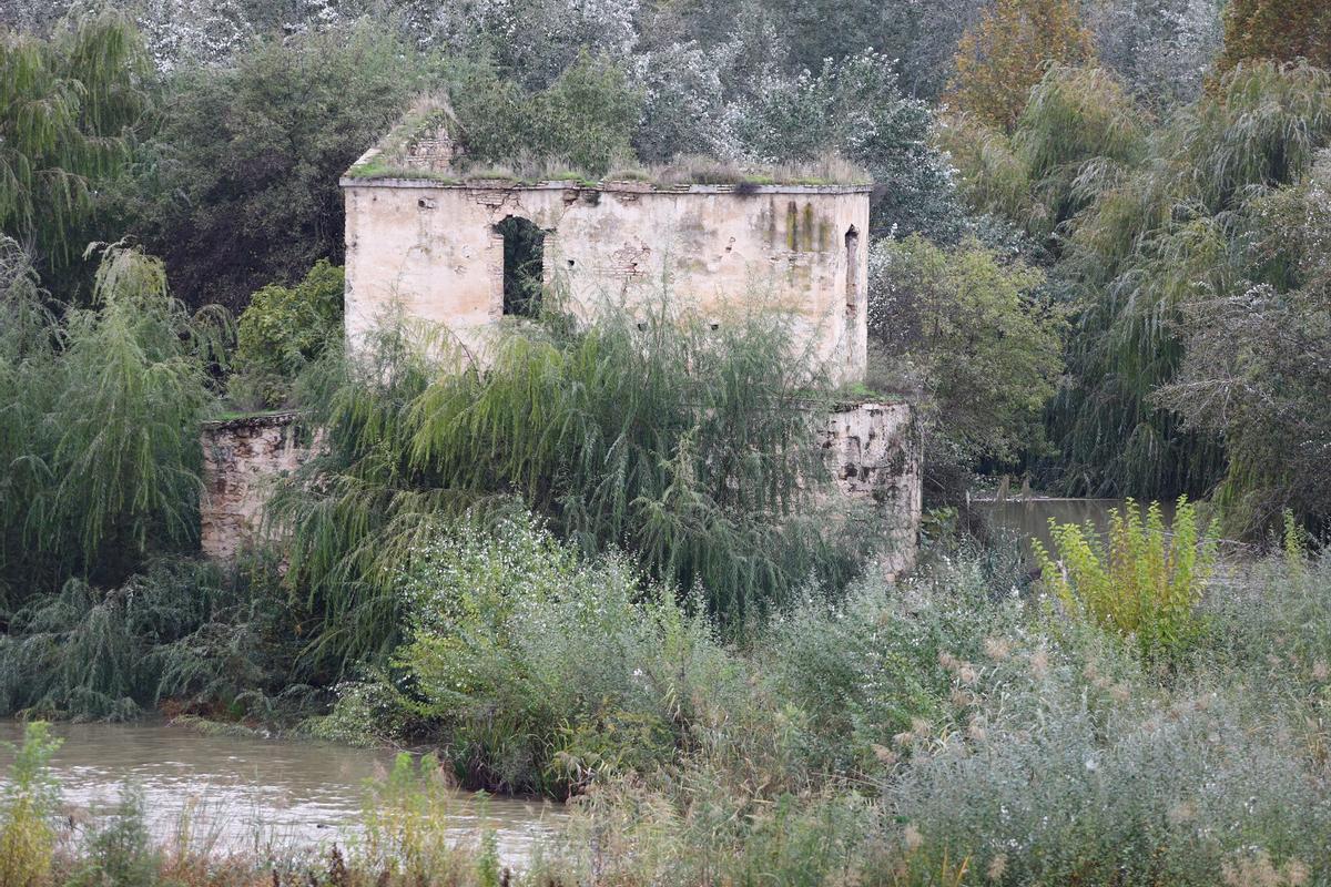 Molino de Don Tello.