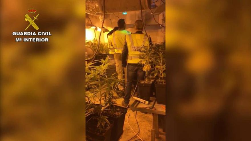 Comissen marihuana i desmantellen un laboratori d'haixix a Lloret