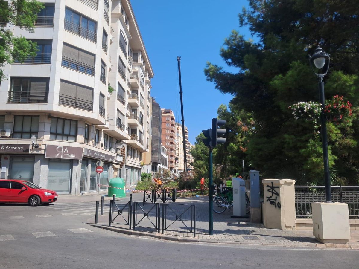 Las labores para podar los dos pinos junto al puente de la Virgen.