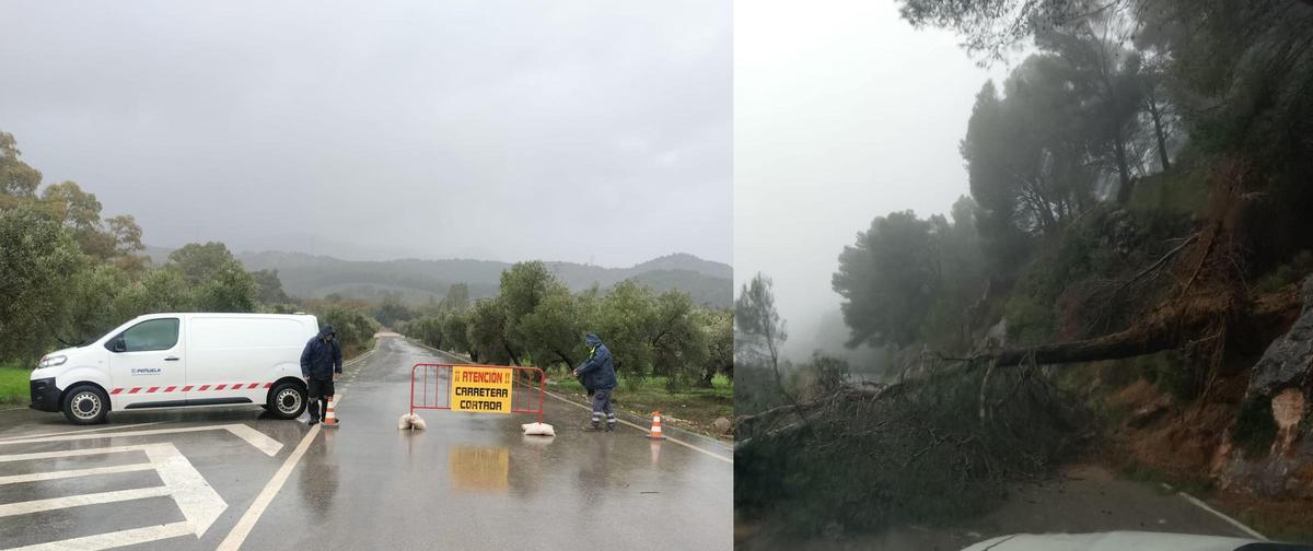 Corte de la carretera MA-5401