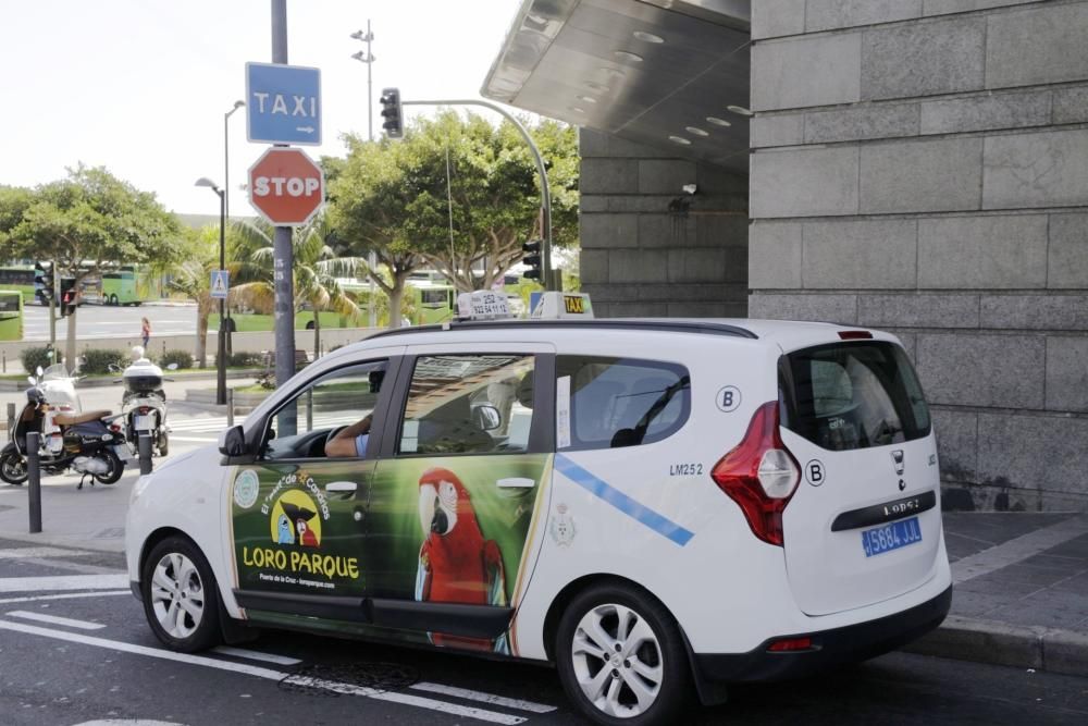 Cambios en los taxis de Santa Cruz de Tenerife