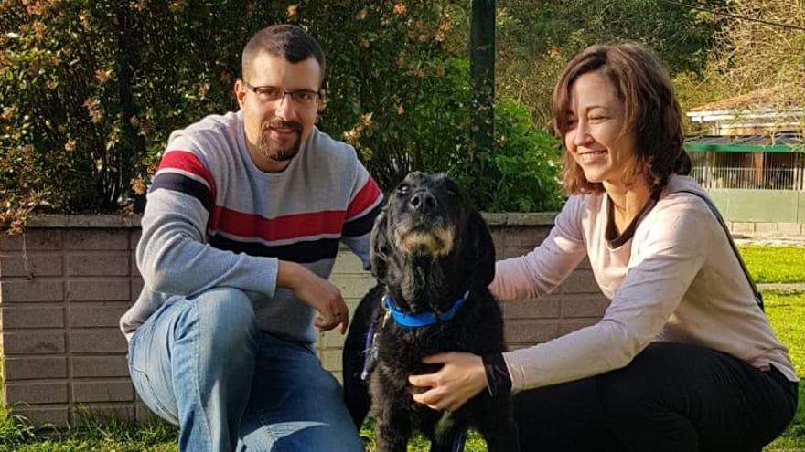 Alvarín, el perro que sobrevivió a un disparo en la cabeza, ya tiene nuevos dueños