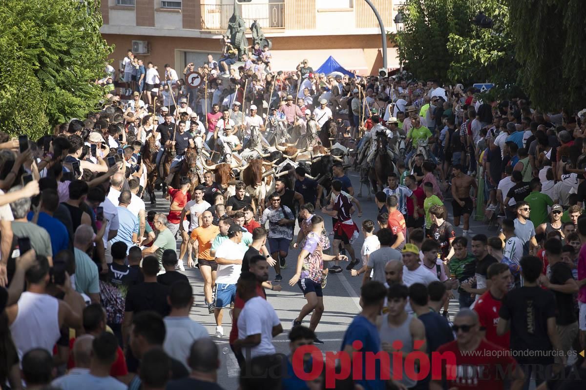 El segundo encierro de las Fiestas de Moratalla se salda con un herido