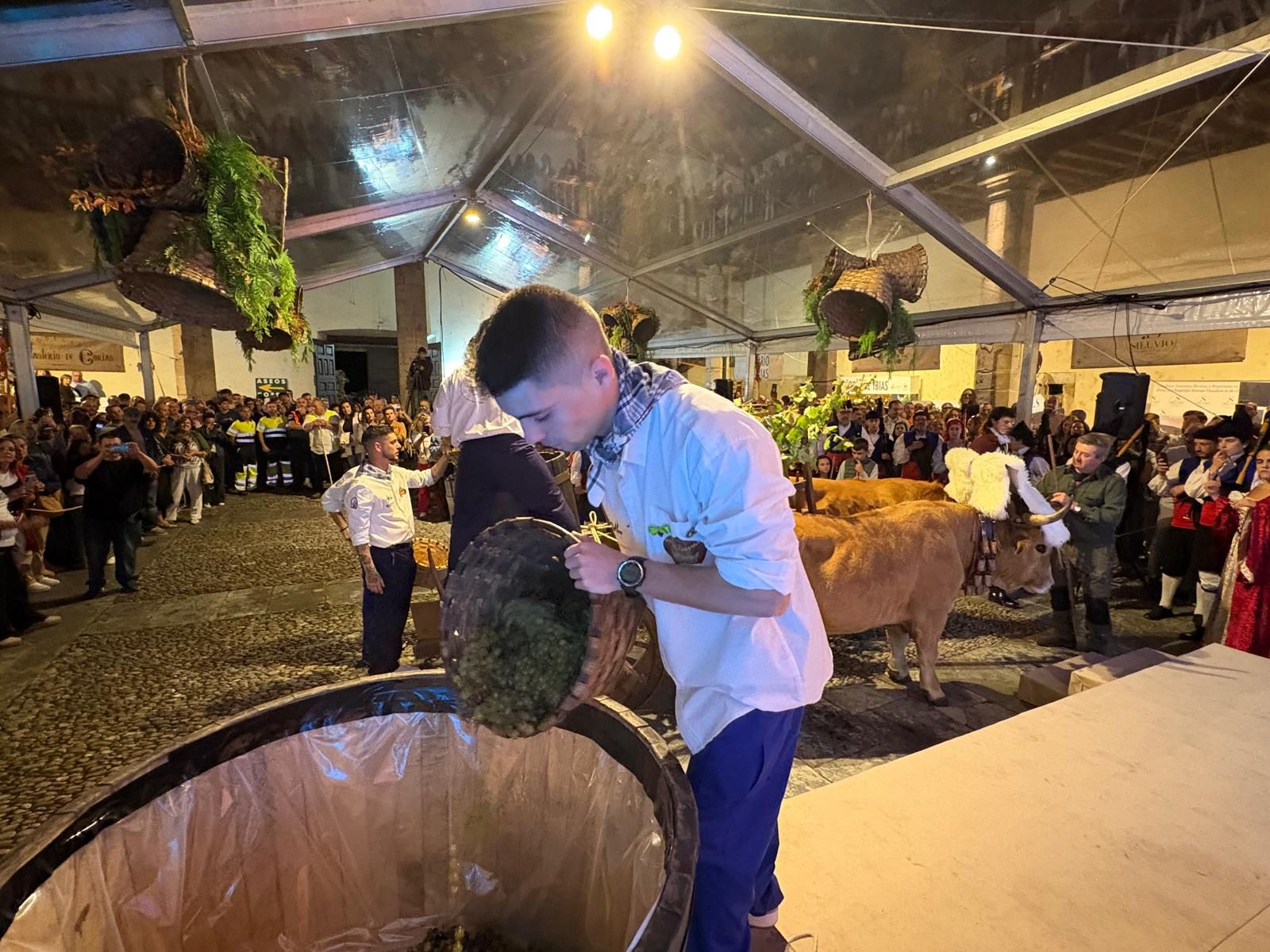 Así se vivió la recreación histórica de la pisada de la uva en la Fiesta de la Vendimia