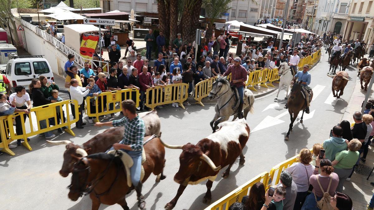 El encierro campero de la mañana congregó a numeroso público atraído por el espectáculo de astados y caballos.