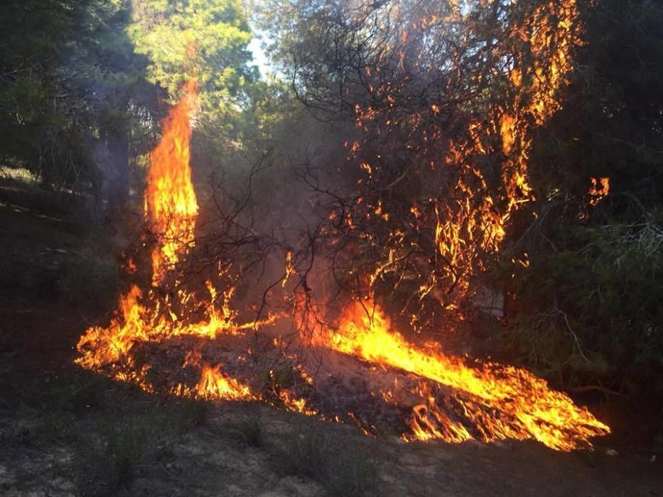 Incendio intencionado en Guardamar del Segura