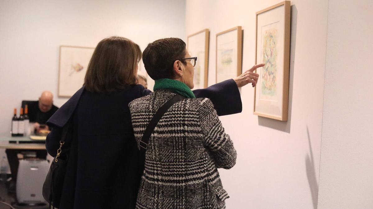 VÍDEO | Así es la primera muestra individual de la zamorana Rocío Aguirre en Espacio 36