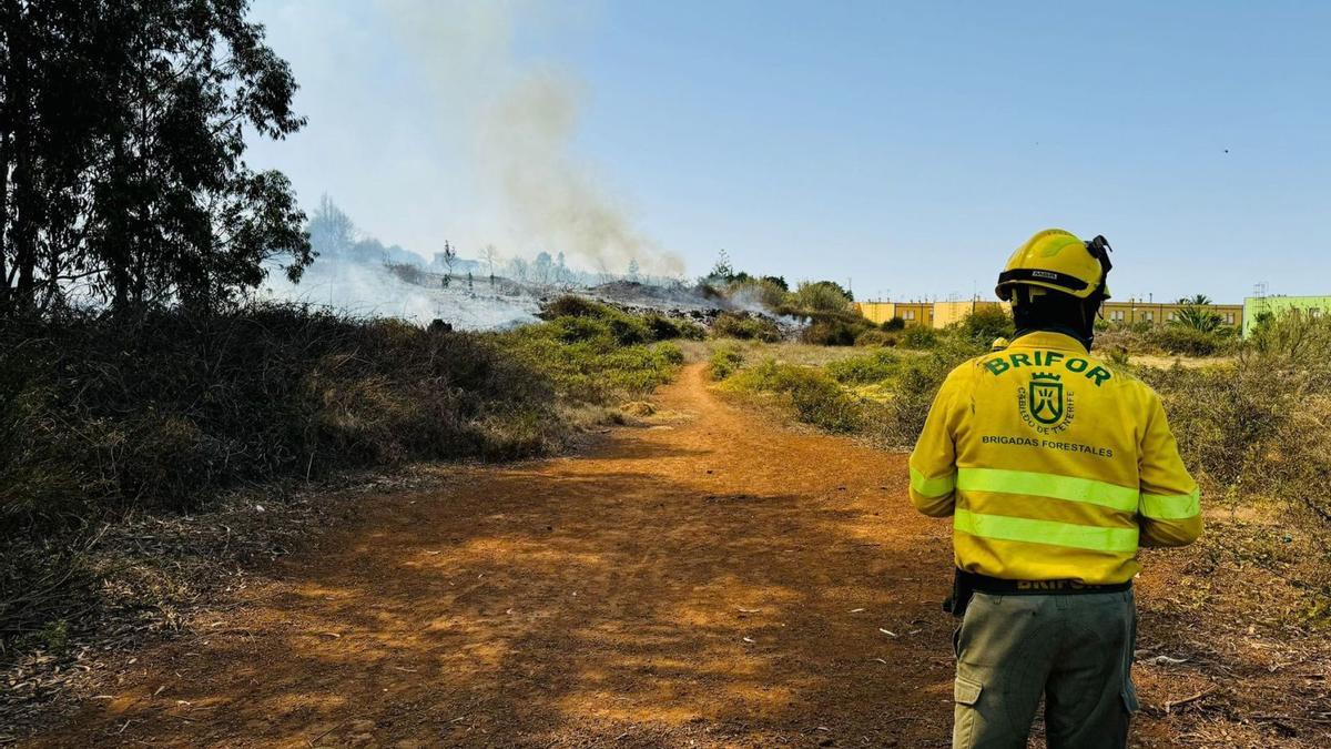 Un agente de las Brigadas Forestales (Brifor) del Cabildo de Tenerife ante un conato de incendio en las medianías de la Isla, archivo.