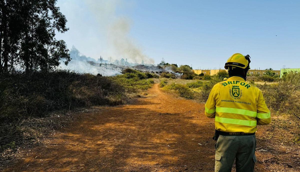 Un agente de las Brigadas Forestales (Brifor) del Cabildo de Tenerife ante un conato de incendio en las medianías de la Isla. | | E.D.