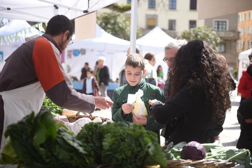 Mercado ecológico en la plaza de España