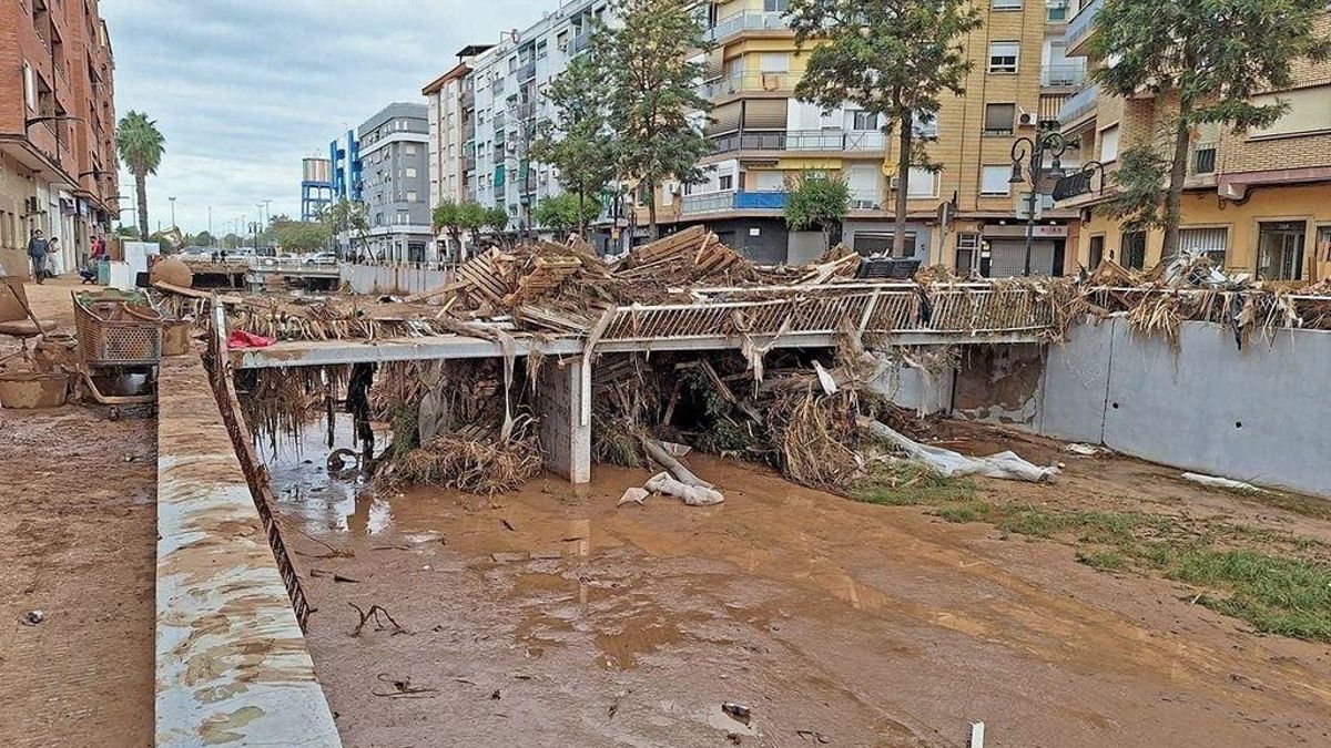 Olgun bir toplumun anketi