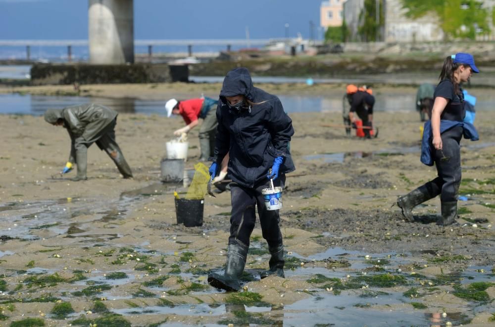 El marisqueo recupera el pulso