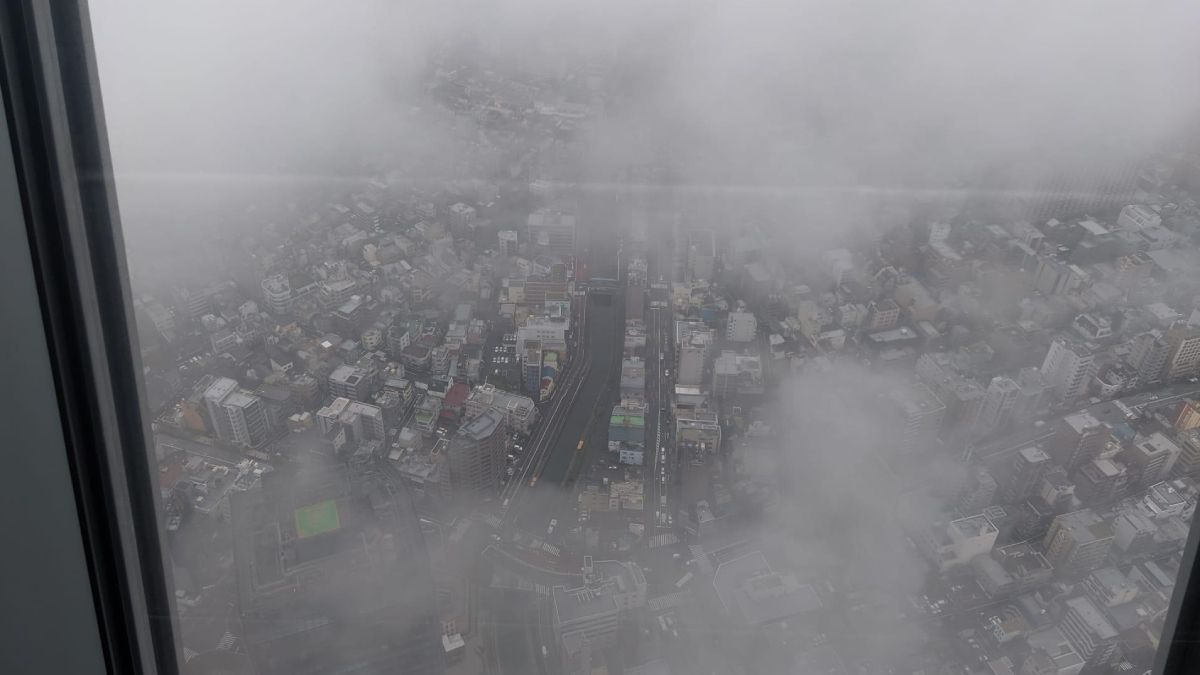 La niebla nos impidió ver las grandes vistas de Tokio