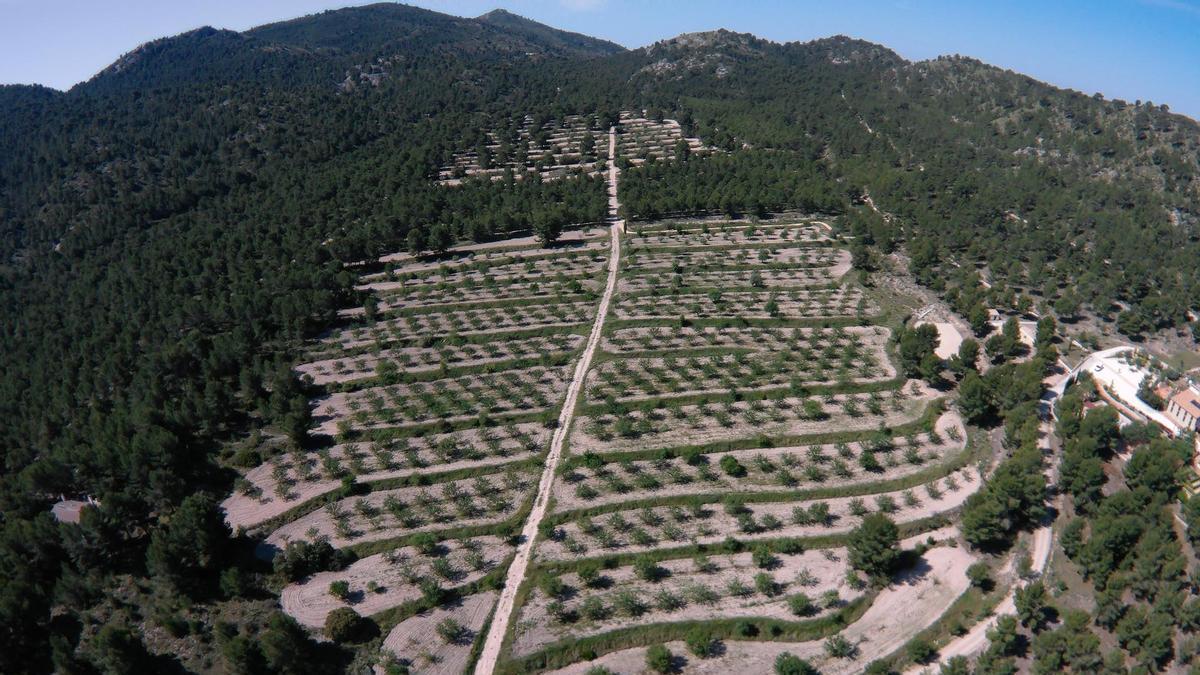 Zona donde se proyecta instalar la balsa contra incendios forestales