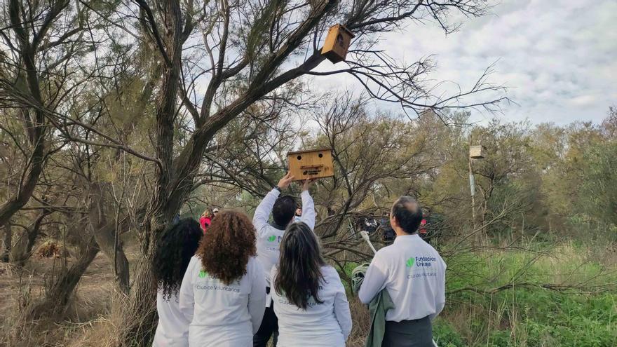 Fundación Unicaja y SEO/BirdLife colaboran en la conservación de la Desembocadura del Guadalhorce