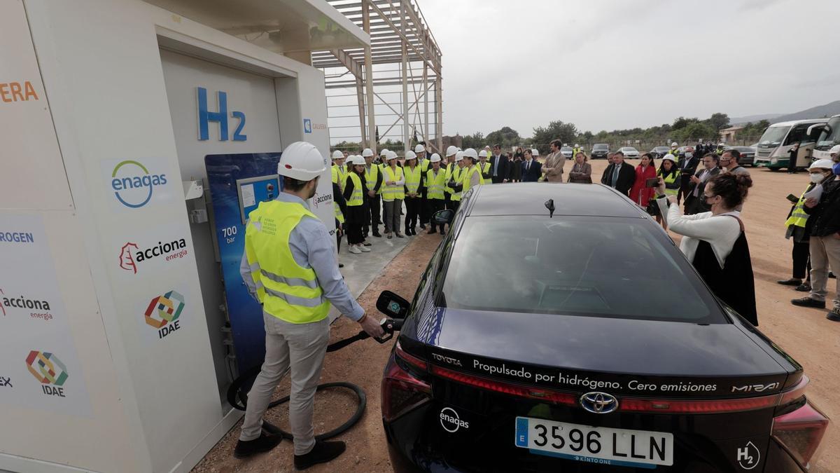 La nueva planta de Lloseta generará hasta 300 toneladas anuales de hidrógeno verde