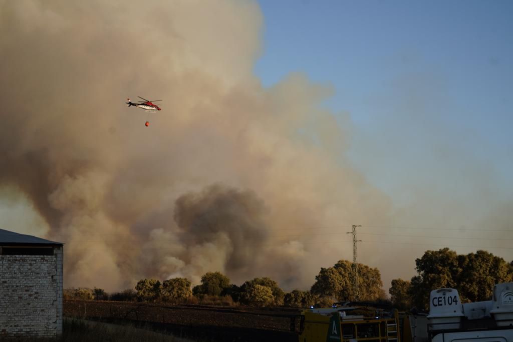 Incendio forestal en en el puerto del Calatraveño