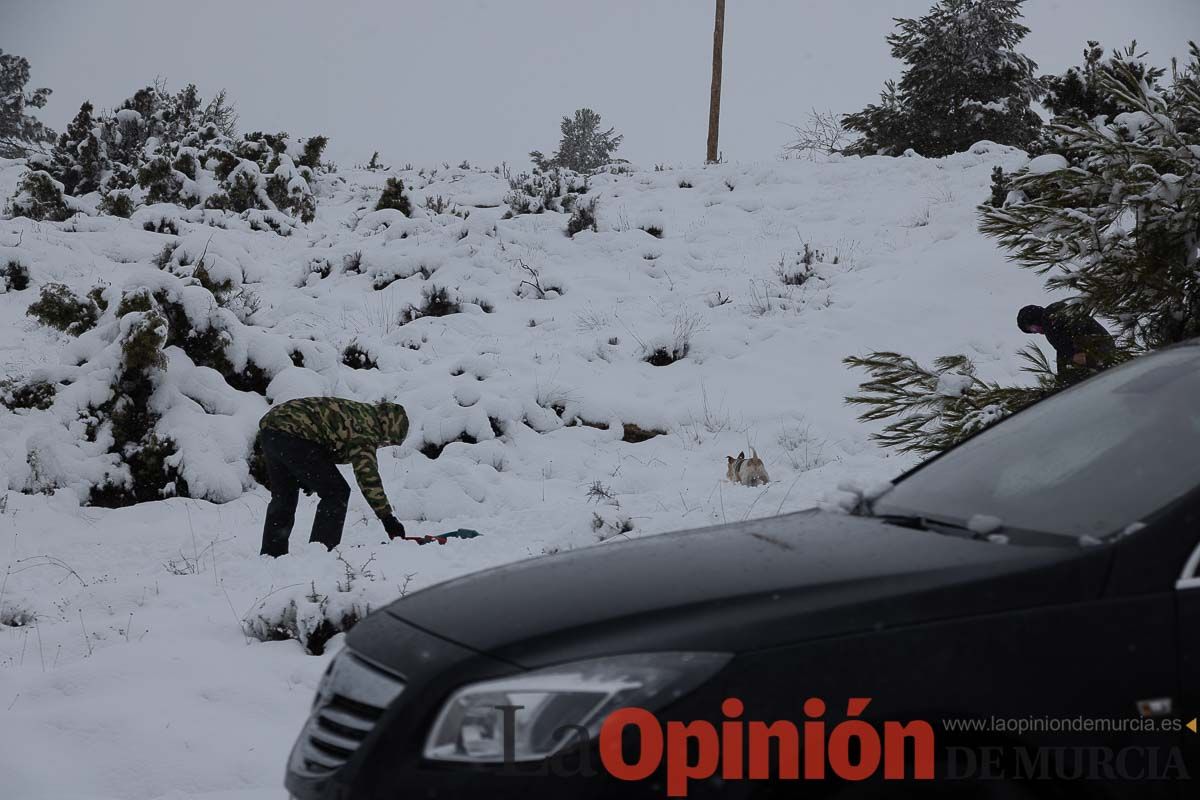 Continúa la nevada en las zonas altas de la comarca del Noroeste