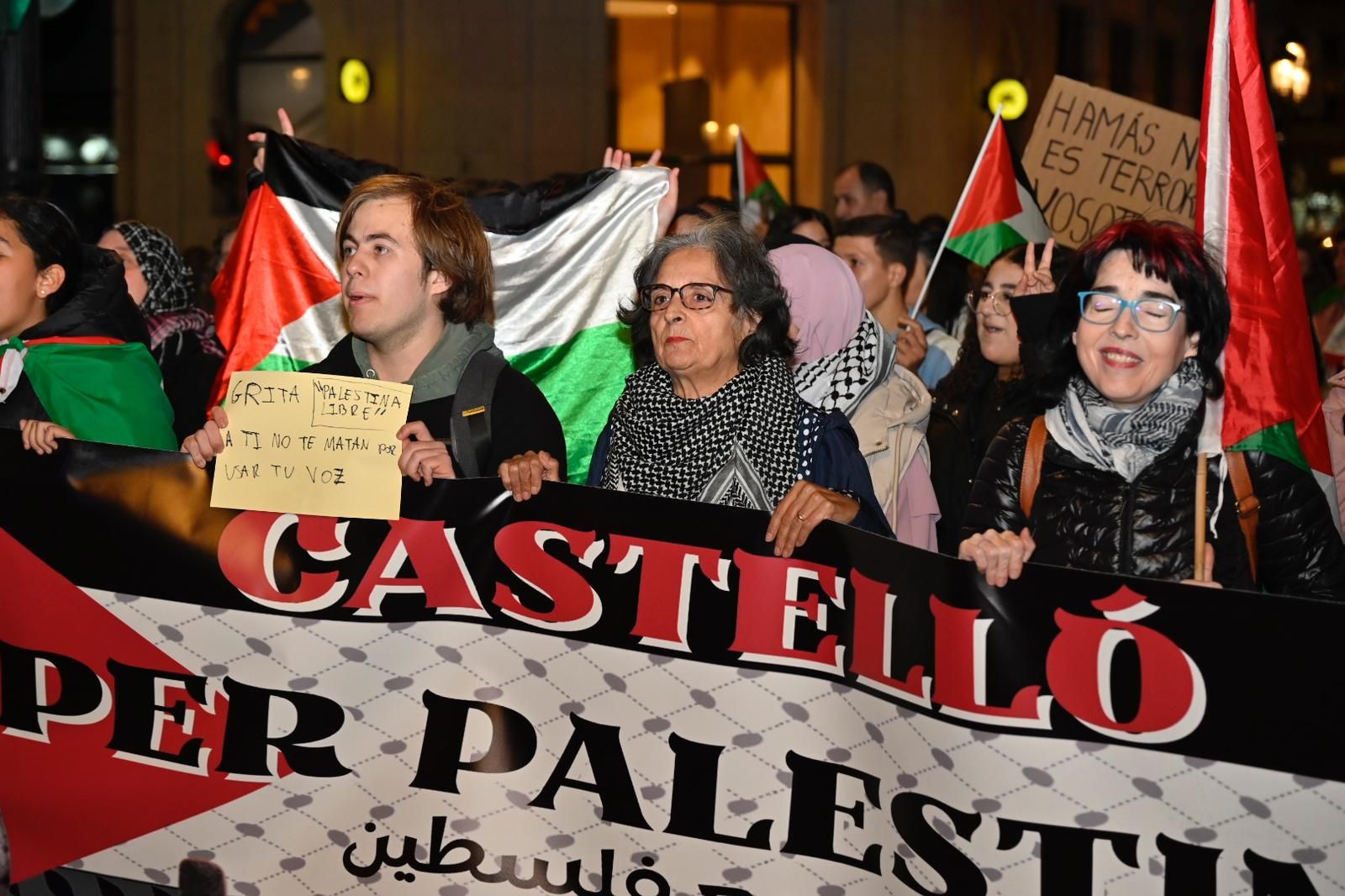 Galería: Manifestación en Castelló en defensa de Palestina