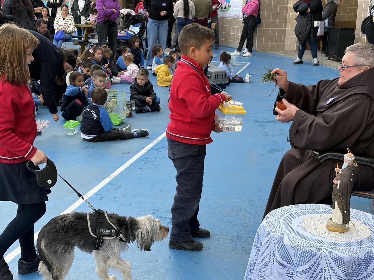 Bendición de animales en el colegio