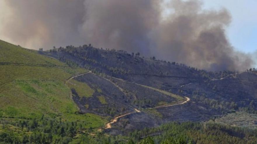 Muere un efectivo de la UME en el incendio de Gata