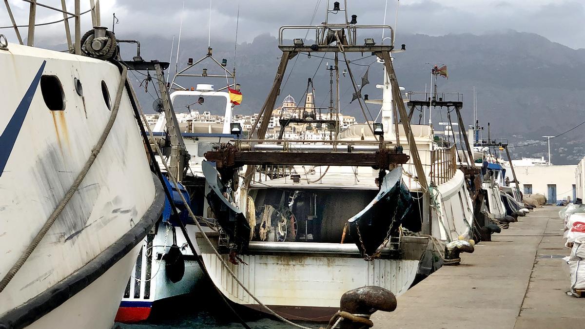 El grupo popular de Altea pedirá al pleno municipal que defienda a los pescadores locales ante la nueva normativa europea de preaviso de capturas