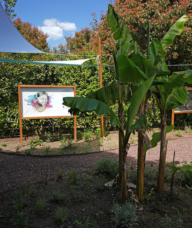 Museu Jardim da Luta dos Povos Indígenas