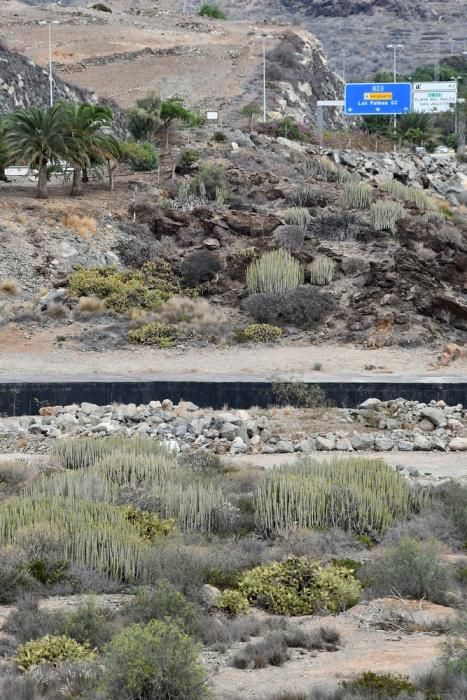 Barranco del Veril, en el que está proyectado construir el 'Siam Park'