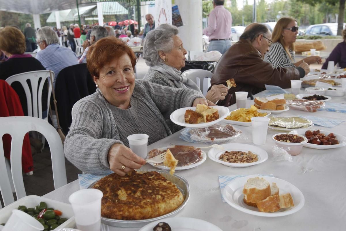 La Federación de Peñas celebra su día de convivencia