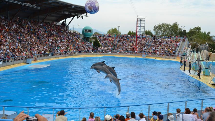 Victoria animal: cierra el delfinario más grande de Europa