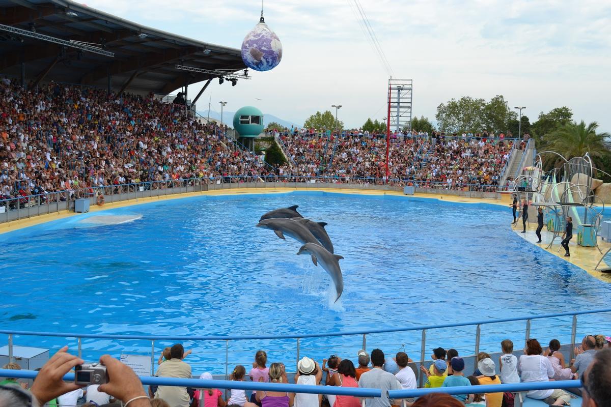 El delfinario Marineland es el más grande de Francia